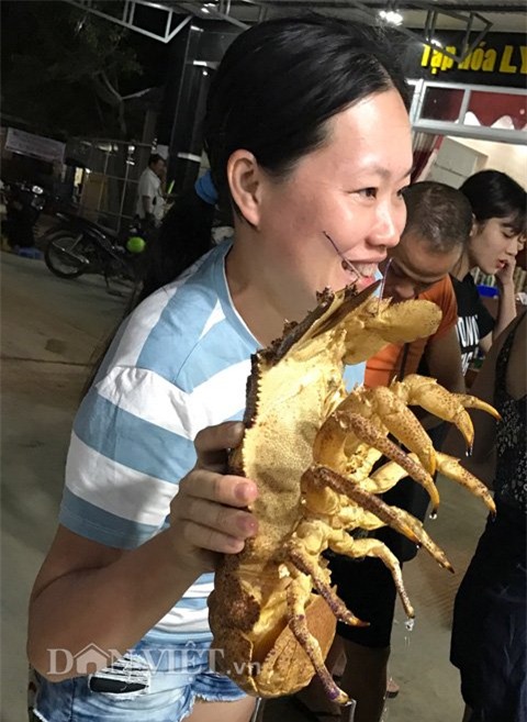 tôm, tôm hùm, Lý Sơn, Quảng Ngãi, ngư dân