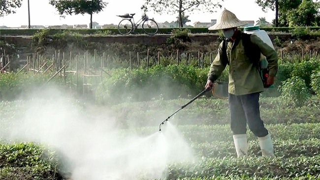 Tìm ra thủ phạm mới gây tiểu đường, giải oan cho gạo trắng - Ảnh 1.
