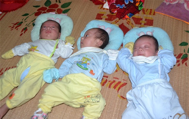 chuyen xuc dong ve ca sinh 3 dac biet hy huu o hai duong - 1