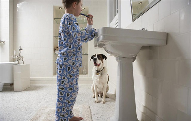 Cả gia đình tôi cũng thực hiện đánh răng ngay sau khi ăn tối và đúng giờ thì đi ngủ, không ăn thêm bất cứ món gì khác trước khi lên giường đi ngủ.