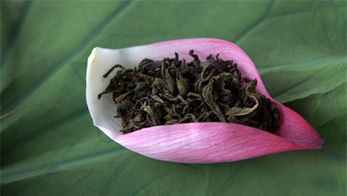 da nhac den ha noi, khong ai co the quen duoc nhung mon dac san dac biet nay - 8