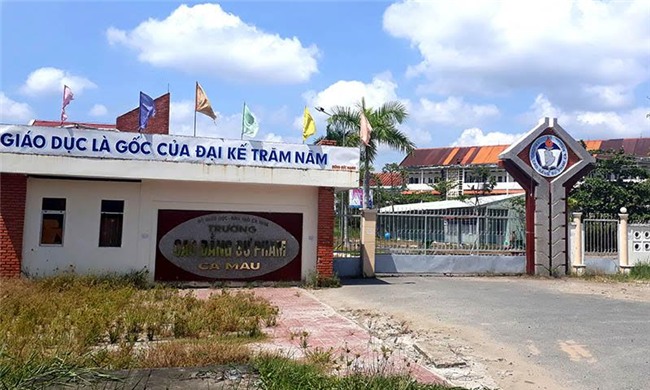 giải thể trường, cao đẳng, sư phạm, cà mau