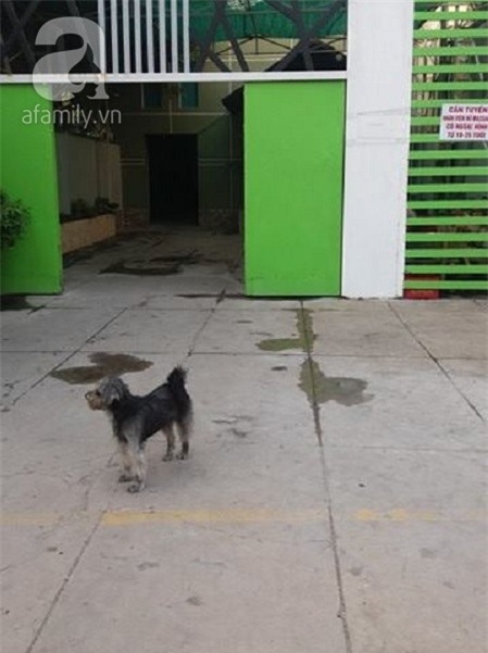 Người phụ nữ xinh đẹp mất vì ung thư khi bên cạnh không người thân thích, bạn bè lấy facebook cô đăng tìm gia đình - Ảnh 2.