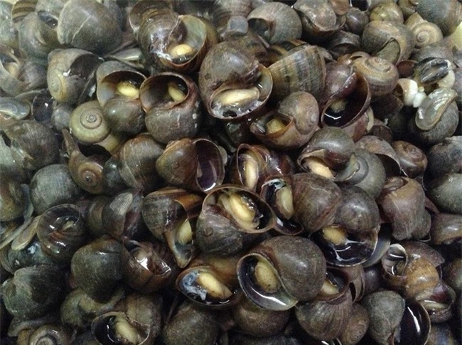 Tổ hợp những quán ăn lúc nào cũng tấp nập khách ở khu Trường Chinh, Đại La - Ảnh 9.