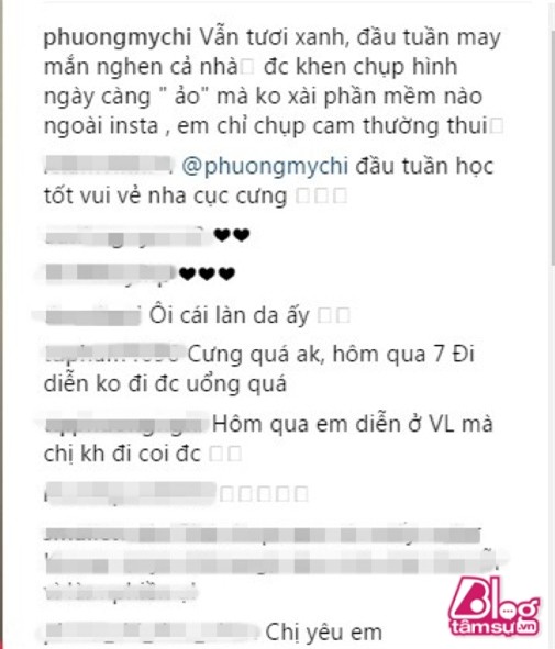 phuongmychi (1) (Custom)