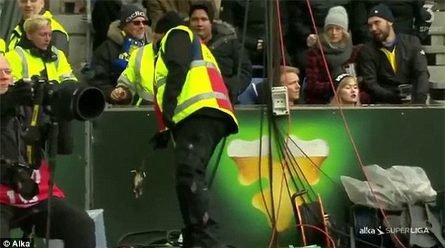 Fan chơi lầy, ném chuột chết vào cầu thủ đối phương - Ảnh 4.