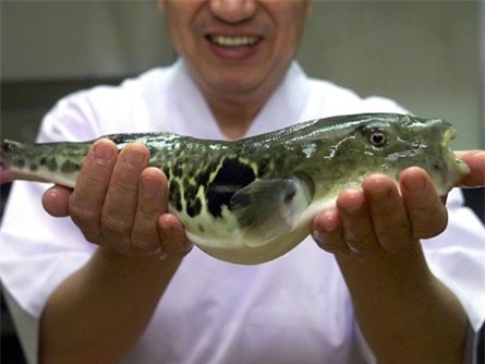 9 thực phẩm phổ biến có thể gây chết người nếu ăn sai cách - Ảnh 7.