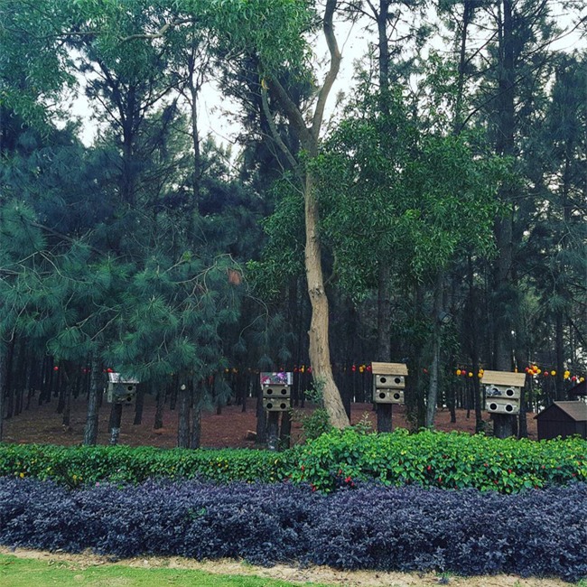 5 resort hội tụ đủ yếu tố đẹp, gần, dễ đi, giá hợp lý cho chuyến du lịch 30/4 gần Hà Nội - Ảnh 28.