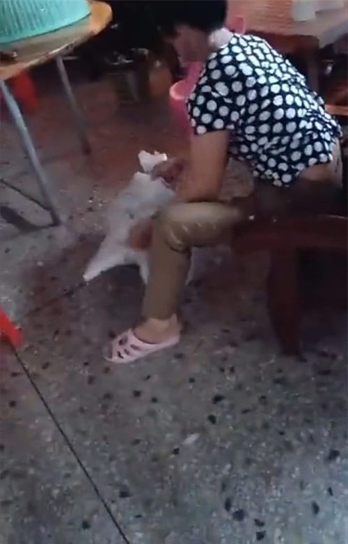 phan no canh be gai bi nguoi than nhot vao bao tai roi danh dap tan nhan - 2