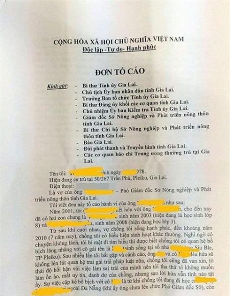 Phó giám đốc sở cho rằng vợ dựng chuyện ngoại tình bôi xấu chồng - Ảnh 1.