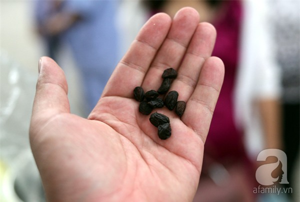 2 ngàn đồng/hạt gia vị, gần 1 triệu đồng/kg tỏi vẫn khiến hàng trăm người dân Hà Nội lùng mua - Ảnh 3.