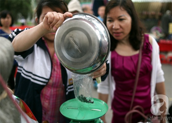 2 ngàn đồng/hạt gia vị, gần 1 triệu đồng/kg tỏi vẫn khiến hàng trăm người dân Hà Nội lùng mua - Ảnh 5.