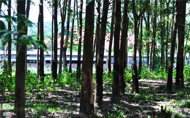 Can canh biet phu cua Uy vien Thuong vu Tinh uy Kon Tum hinh anh 8