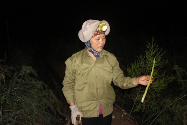 trang dem di hai loai rau quy toc, chi danh cho nha giau hinh anh 4