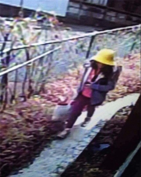 Giả thuyết ban đầu về quá trình sát hại bé gái Việt của nghi phạm - Ảnh 1.