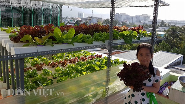 vuon rau thuy canh