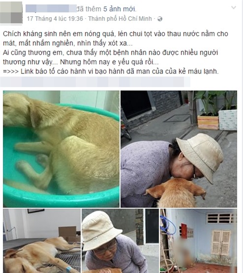 Giận hờn, nam thanh niên ở Sài Gòn tra tấn dã man chú chó của bạn để trả thù - Ảnh 1.
