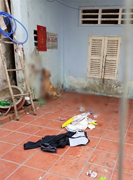 Giận hờn, nam thanh niên ở Sài Gòn tra tấn dã man chú chó của bạn để trả thù - Ảnh 2.