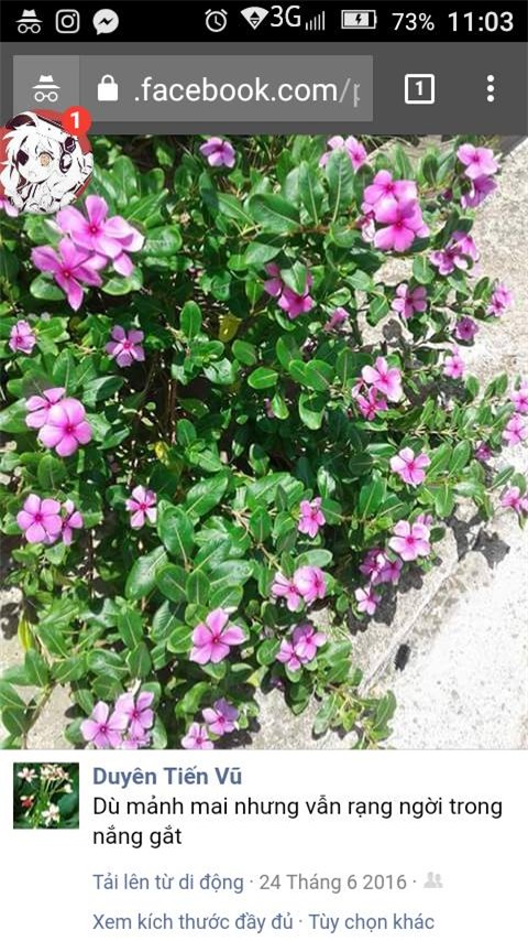 Muôn vàn kiểu hài hước, đáng yêu khi phụ huynh dùng mạng xã hội. - Ảnh 9.