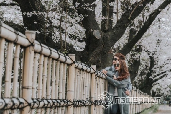 Hồ Quang Hiếu và Bảo Anh, Hồ Quang Hiếu,  Bảo Anh