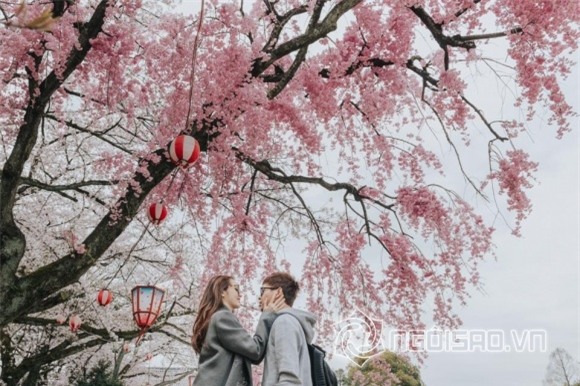 Hồ Quang Hiếu và Bảo Anh, Hồ Quang Hiếu,  Bảo Anh