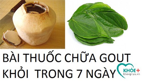 dung dua xiem va la trau danh bay benh gout trong vong 7 ngay - 1