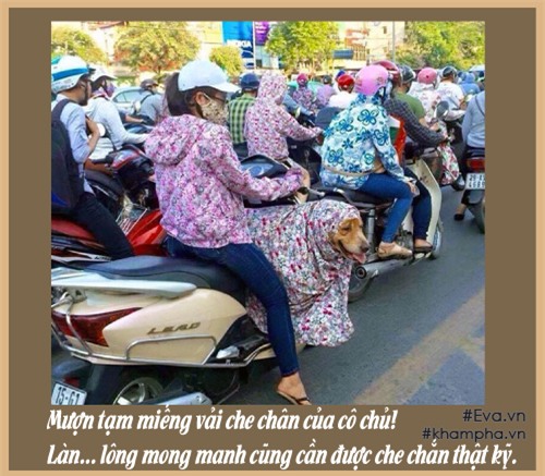 den "thanh" chac cung khong nhin duoc cuoi truoc 101 kieu tranh nong ba dao nay! - 8