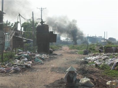 trồng rau, trồng rau sạch, rau sạch, vườn rau,