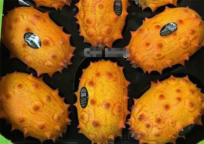 dưa chuột, hoa quả nhập khẩu, hoa quả nhật bản, quả lạ