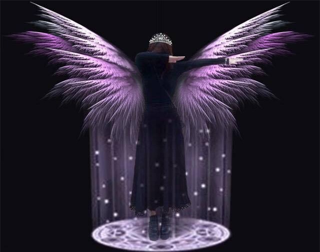 Nhờ dân mạng chắp cánh ước mơ, cô nàng bỗng chốc hóa trò cười cho người bốn phương - Ảnh 13.