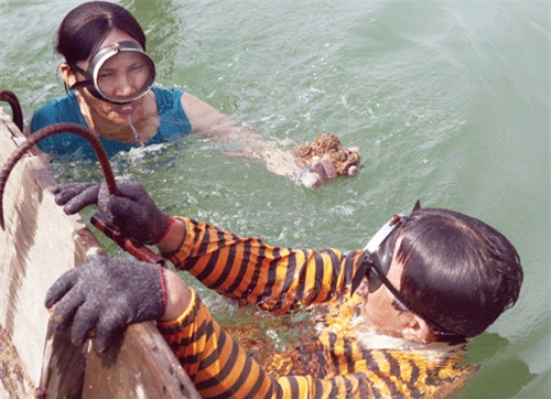 hàu, hải sản, đặc sản