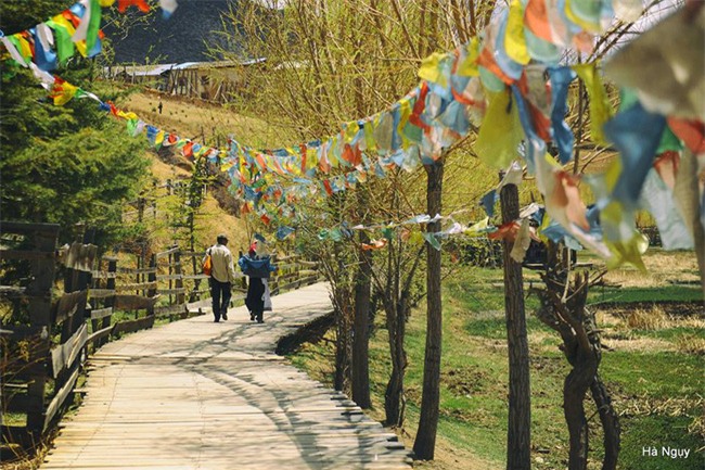 Nữ nhà báo chia sẻ hành trình khám phá Shangri-la, Lệ Giang, Đại Lý 9 ngày với 12 triệu đồng - Ảnh 7.