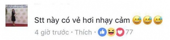 Hồ Ngọc Hà, vợ đại gia, vợ đại gia đá xoáy Hồ Ngọc Hà, Hà Hồ, sao việt