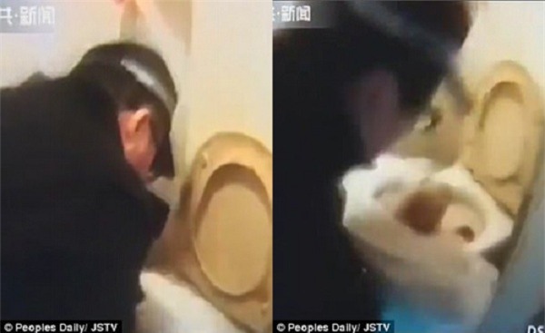 Mang thai nhưng không hề biết, cô gái trẻ đẻ rơi con trong nhà vệ sinh nhưng... - Ảnh 1.