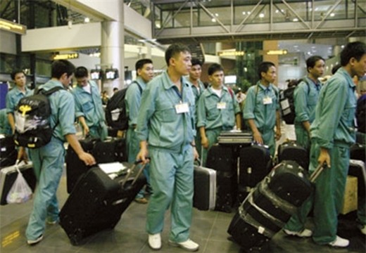 Sang Nhật để làm việc và có được nguồn thu nhập đáng mơ ước? (Ảnh: Internet)