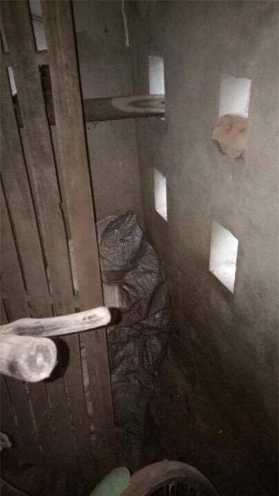 giết người, phi tang xác, người tình của con gái giết mẹ