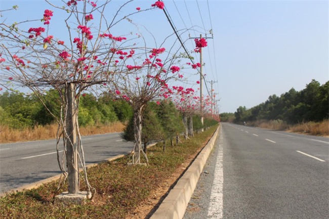 đất nền, nhà đất, cò đất, sốt đất