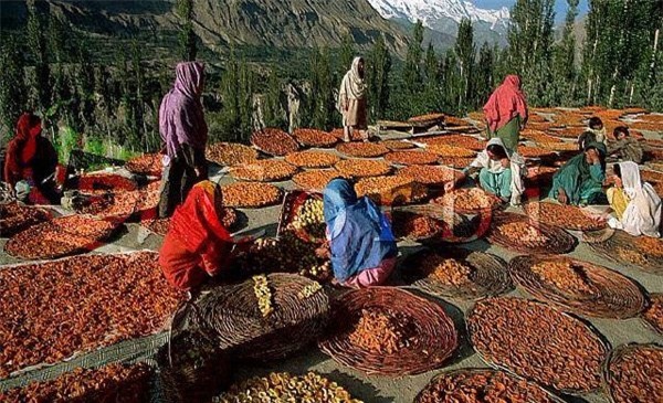 Cách ăn uống gần với thiên nhiên chính là mà trong những bí quyết giúp người Hunzas phòng chống ung thư