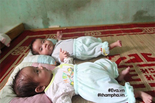 bi ruong bo vi khong chiu pha thai doi: “toi dau don khi phai mang con di cho” - 5