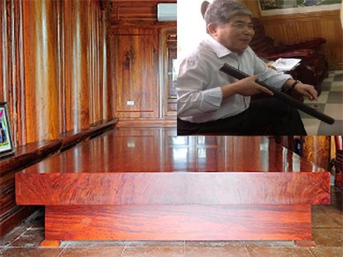 biệt thự, lâu đài, đại gia Việt,Mỹ, biệt thự triệu đô