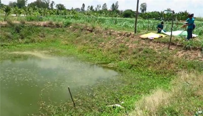 giết bé gái 9 tuổi, bóp cổ bé gái, xâm hại tình dục, xâm hại bé gái, Đồng Tháp