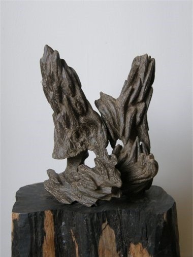 phu trầm, trầm hương, lộc trời, tìm trầm