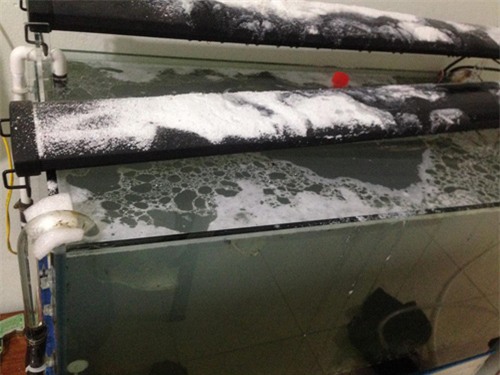 ghen vi chong mai me be ca bo quen gia dinh, vo co hanh dong tra thu khong ai ngo - 3