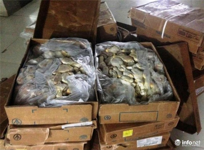 thực phẩm bẩn, thịt gà, mực thối, thịt thối