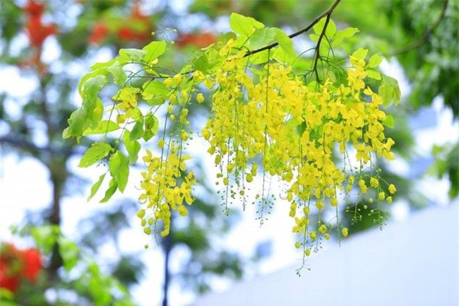 Lời tiên tri cực chuẩn trong tháng 5 cho 12 cung Hoàng đạo - Ảnh 1.