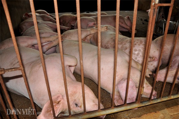 thuong lai noi gi khi bi