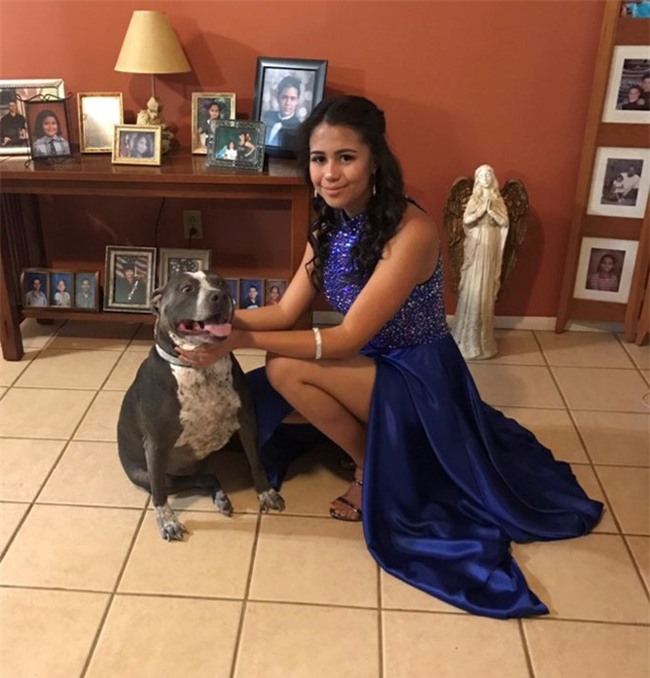 Ảnh 9X bật khóc khi thấy bạn gái mặc váy dạ hội gây bão mạng - Ảnh 1.