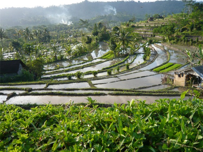 Trải nghiệm 48 giờ đáng giá đến từng phút giây ở Bali - hòn đảo của các vị thần - Ảnh 4.