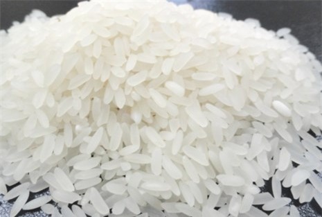 gạo sạch, thực phẩm bẩn