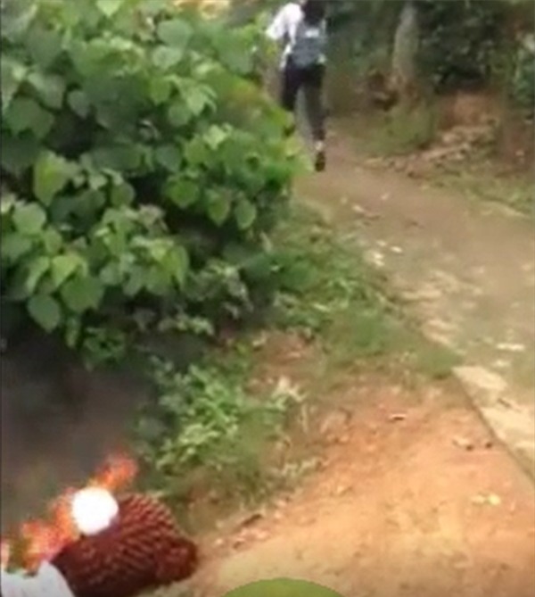 Cô gái nhìn thấy nhưng nhanh chóng chạy đi.